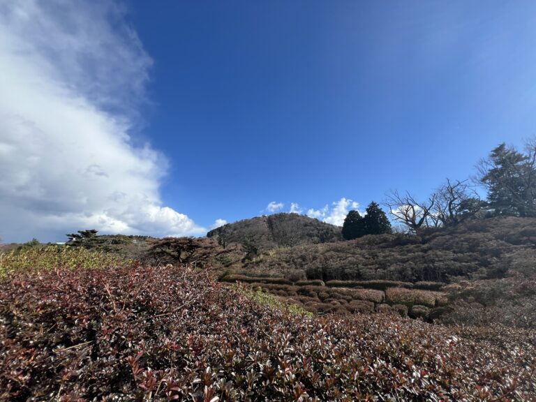 IE 1　IMG 3213 768x576